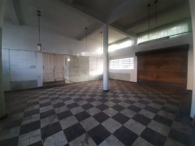 Loja Térrea, para alugar, 250 m², Pio X - Caxias do Sul — foto 5