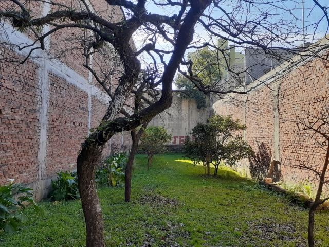 Casa, 3 quartos, à venda, 375 m², Exposição - Caxias do Sul — foto 3