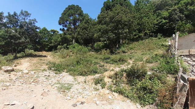 Terreno 1993