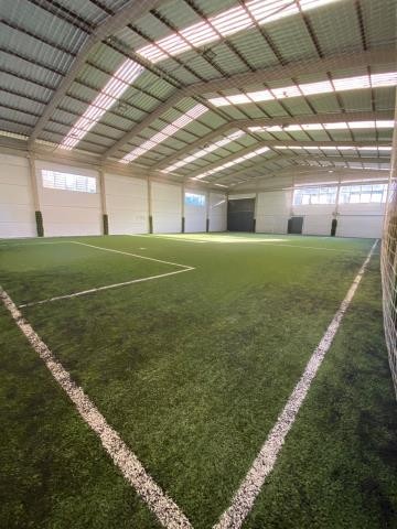 Pavilhão / Depósito, para alugar, 750 m², Ana Rech - Caxias do Sul — foto 3