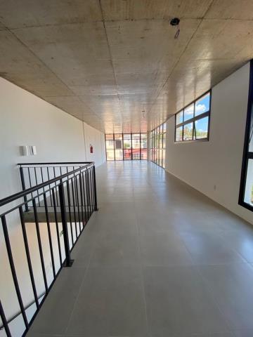 Loja Térrea, à venda, 138 m², Sagrada Família - Caxias do Sul — foto 4