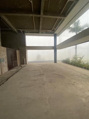Loja Térrea, para alugar, 505 m², Sanvitto - Caxias do Sul — foto 4