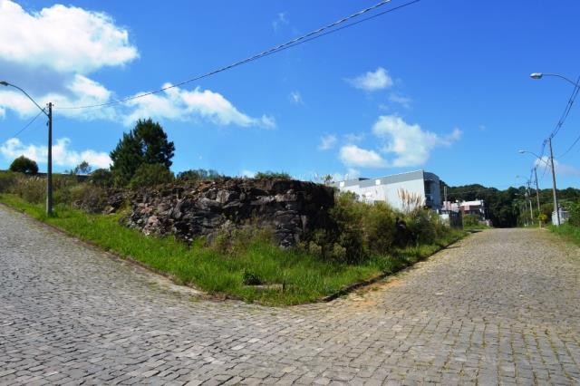 Terreno 246