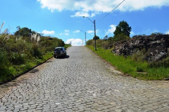 Terreno, à venda, Nossa Senhora das Graças - Caxias do Sul — foto 3
