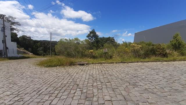 Terreno, à venda, 761 m², São Luiz - Caxias do Sul — foto 2