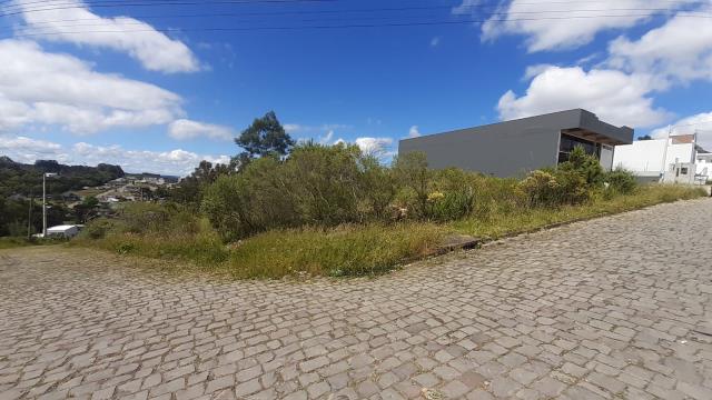 Terreno, à venda, 761 m², São Luiz - Caxias do Sul — foto 3