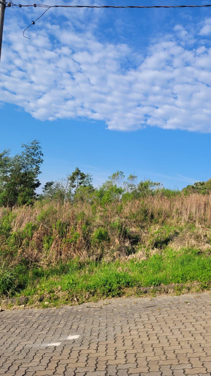 Terreno 3305