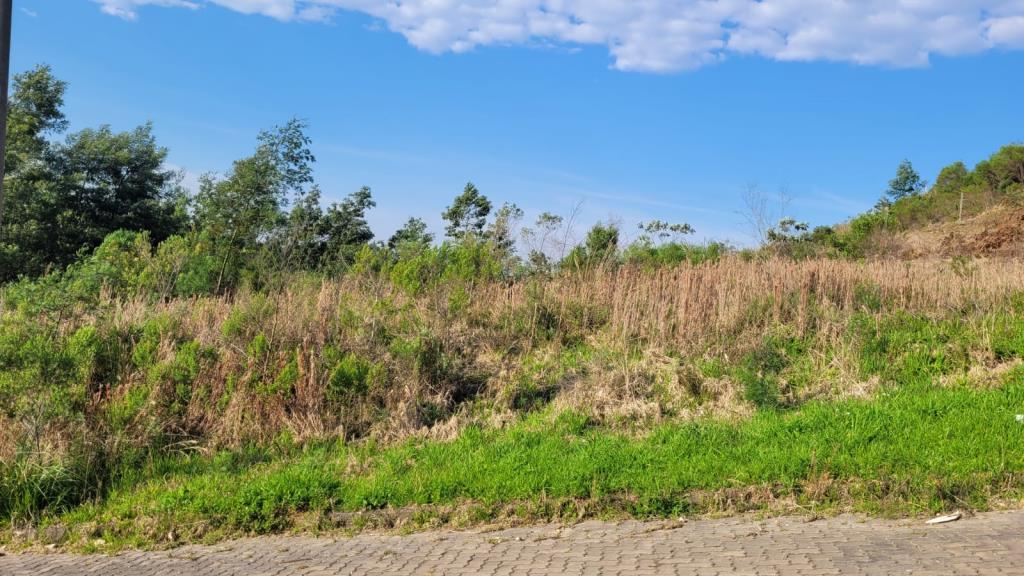 Terreno, à venda, 360 m², São Ciro - Caxias do Sul — foto 2