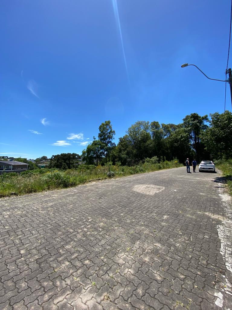 Terreno, à venda, 725 m², São Caetano - Caxias do Sul — foto 2