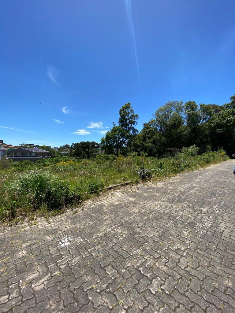 Terreno, à venda, 725 m², São Caetano - Caxias do Sul — foto 3