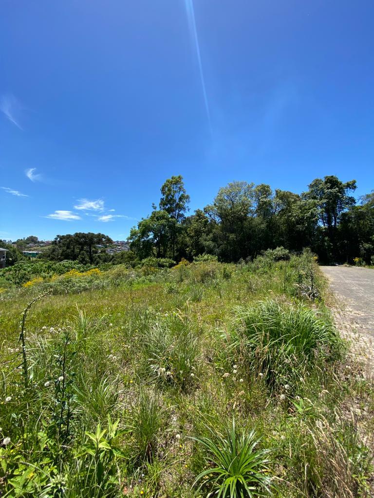 Terreno, à venda, 725 m², São Caetano - Caxias do Sul — foto 4