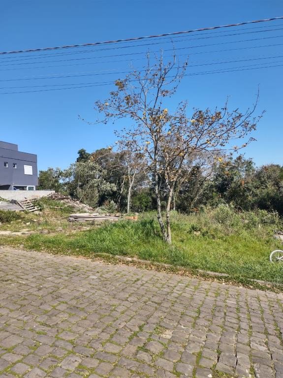 Terreno 3715