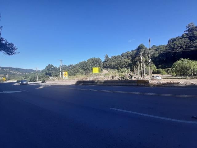 Terreno 381