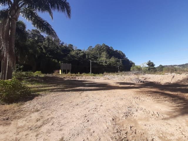 Terreno, para alugar, 7.000 m², Salgado Filho - Caxias do Sul — foto 5