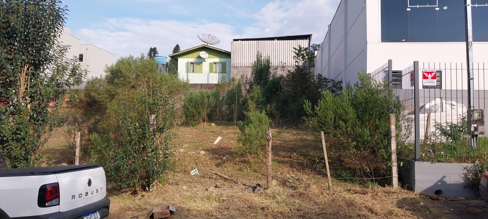 Terreno 4159