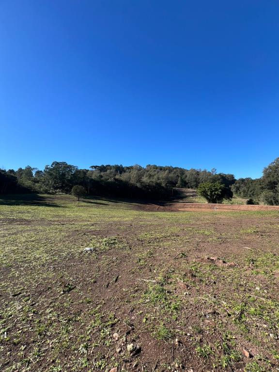 Terreno 4280