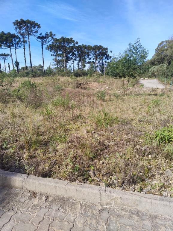 Terreno 4285