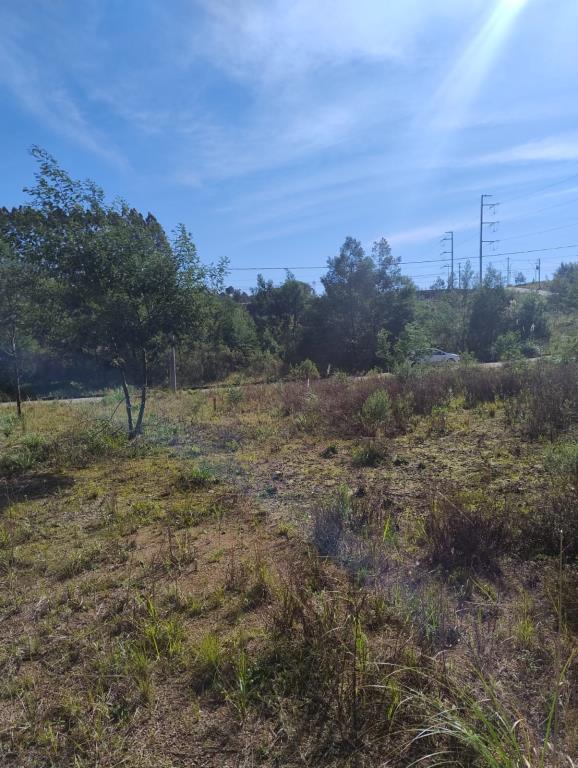 Terreno, à venda, 360 m², Ana Rech - Caxias do Sul — foto 2