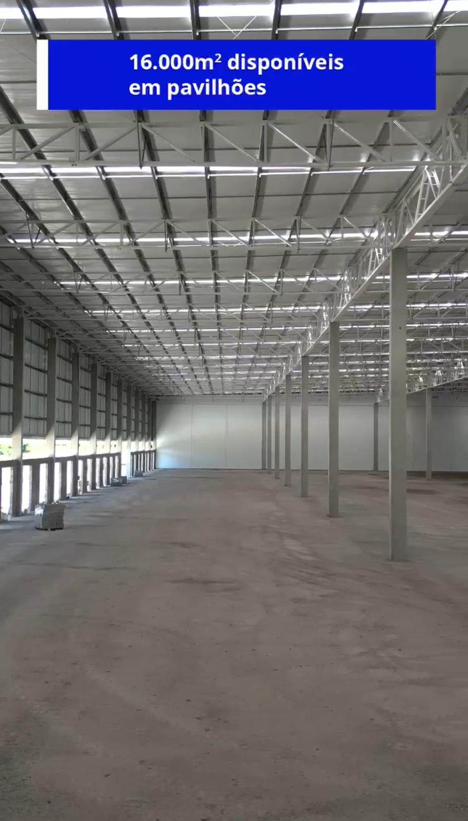 Pavilhão / Depósito, para alugar, 16.000 m², Interior - Flores da Cunha — foto 5