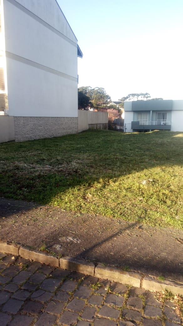 Terreno, à venda, 823 m², Petrópolis - Caxias do Sul — foto 2