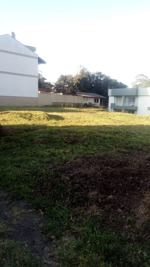Terreno, à venda, 823 m², Petrópolis - Caxias do Sul — foto 4