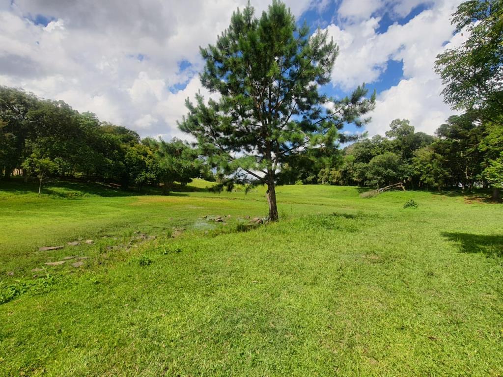 Terreno, à venda, Nossa Senhora das Graças - Caxias do Sul — foto 2
