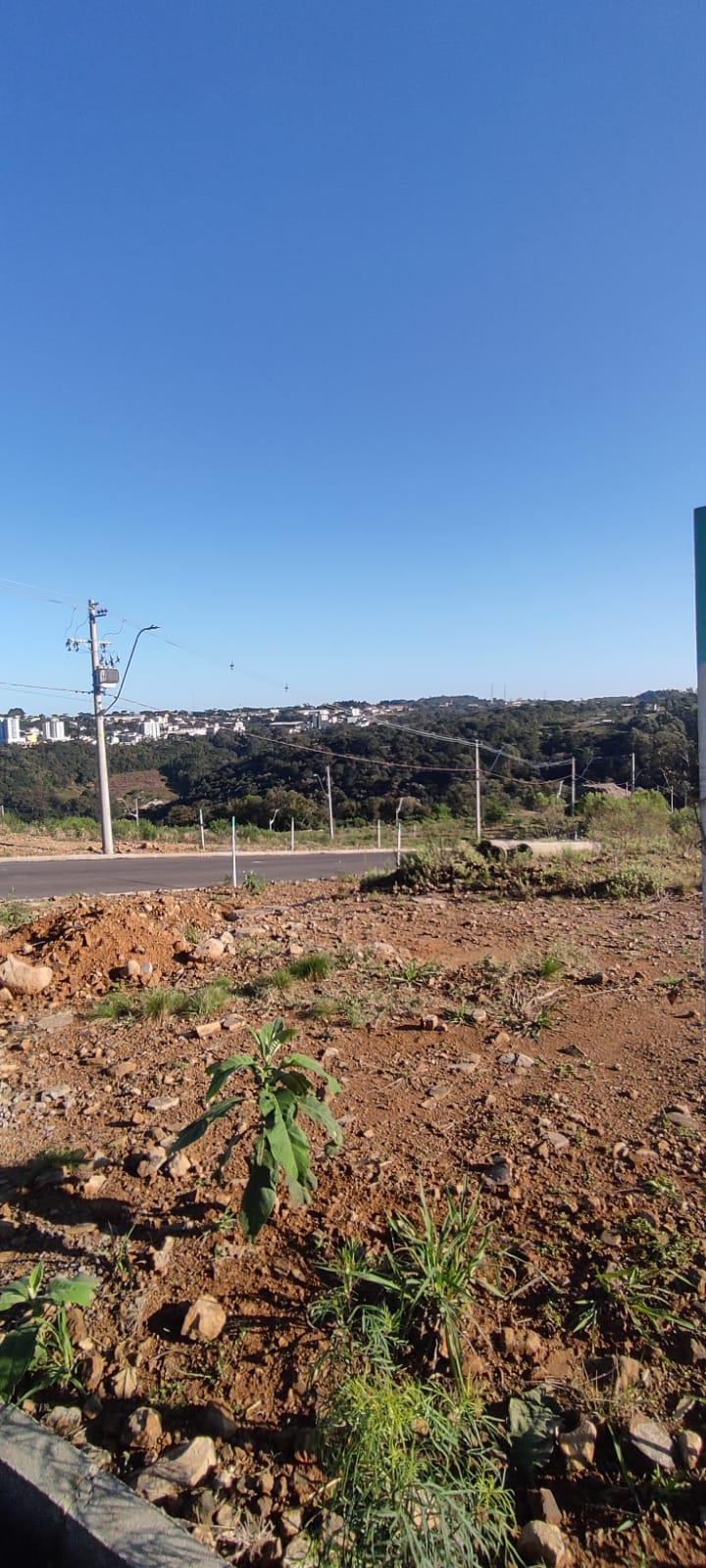 Terreno 4533