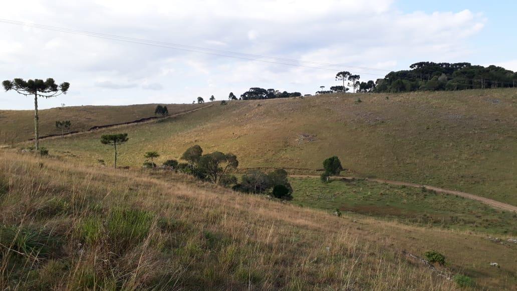Terreno, à venda, Centro - São Francisco de Paula — foto 1