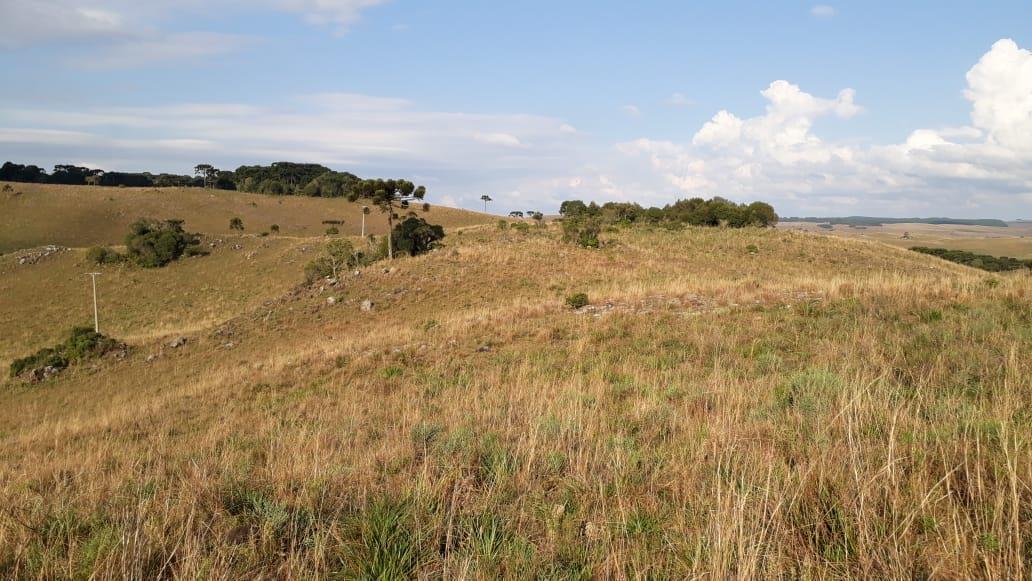 Terreno, à venda, Centro - São Francisco de Paula — foto 3