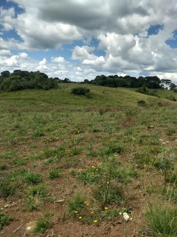 Terreno, à venda, Juá - São Francisco de Paula — foto 2