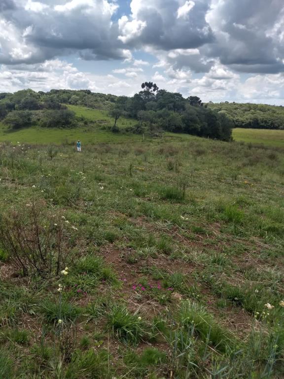 Terreno, à venda, Juá - São Francisco de Paula — foto 3