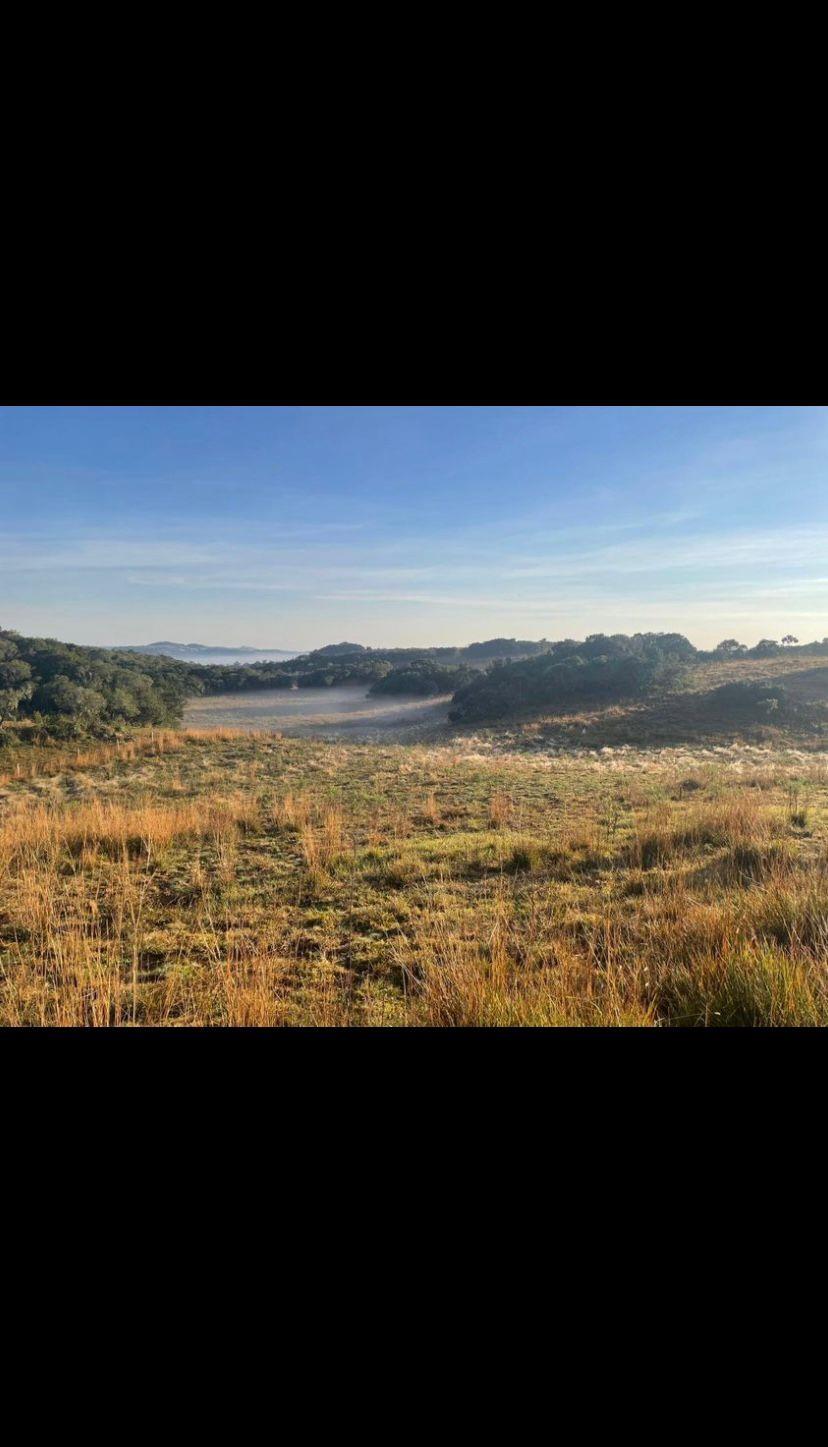 Terreno, à venda, Juá - São Francisco de Paula — foto 5