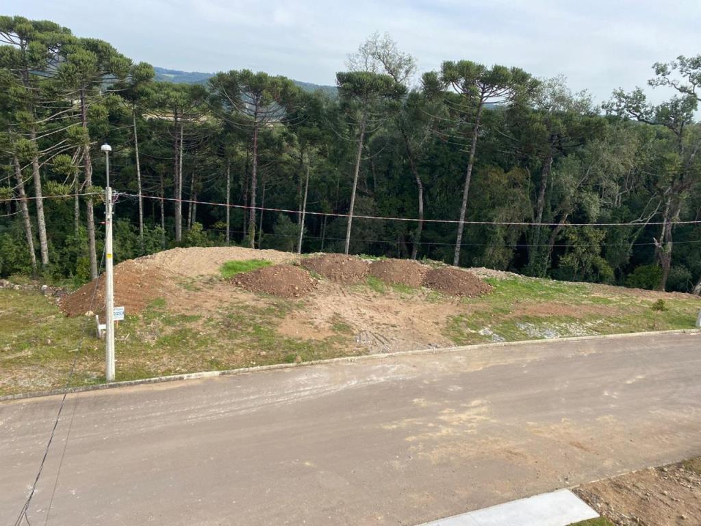 Terreno 4808