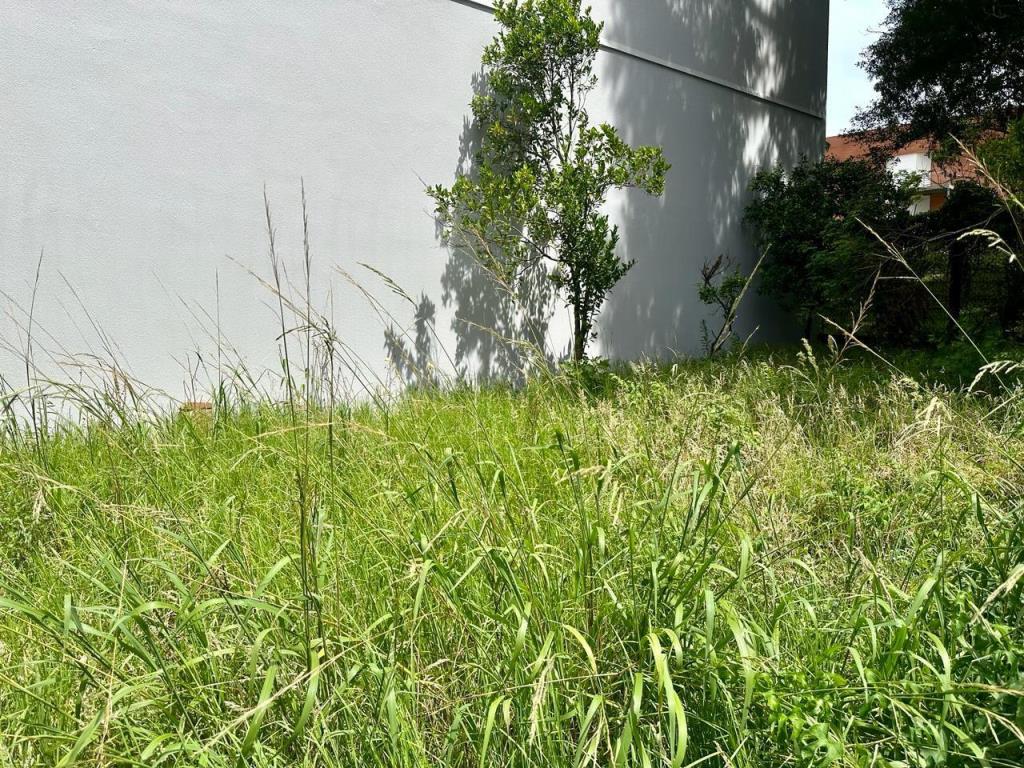 Terreno, à venda, 335 m², Universitário - Caxias do Sul — foto 2
