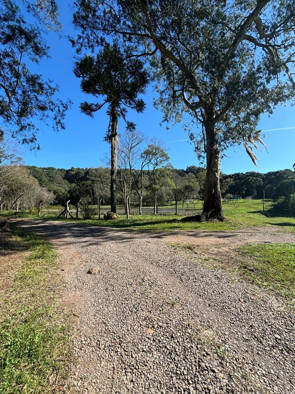 Chácara, à venda, 25.000 m², Centro - Caxias do Sul — foto 2