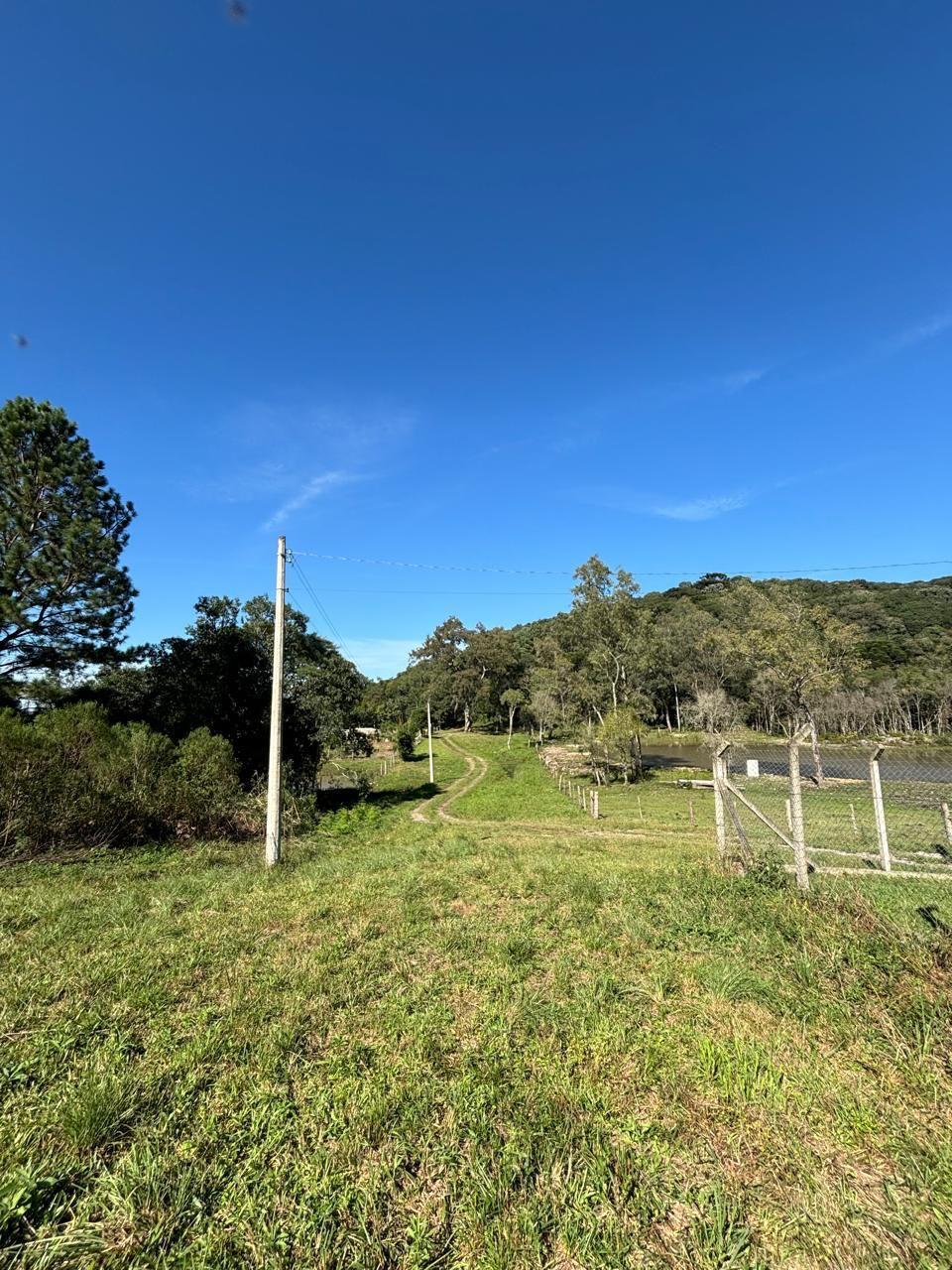 Chácara, à venda, 25.000 m², Centro - Caxias do Sul — foto 3