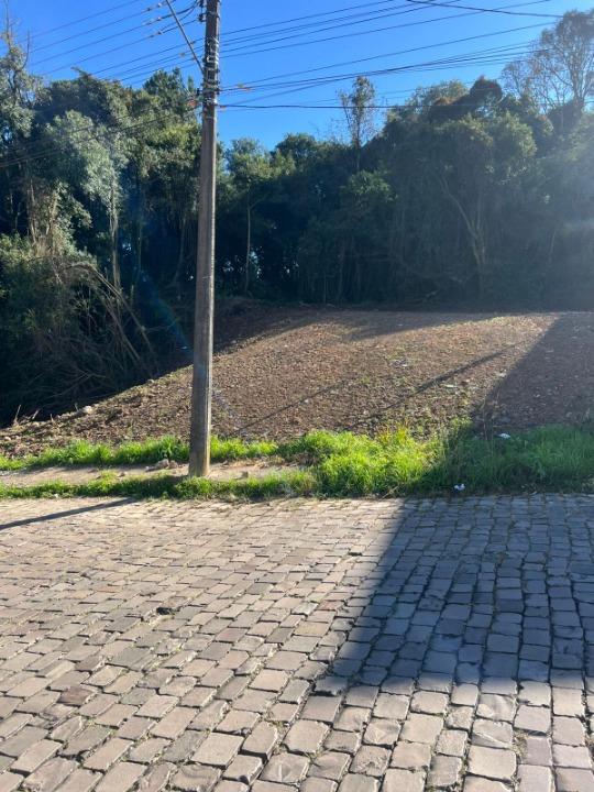 Terreno, à venda, 378 m², Cinqüentenário - Caxias do Sul — foto 2