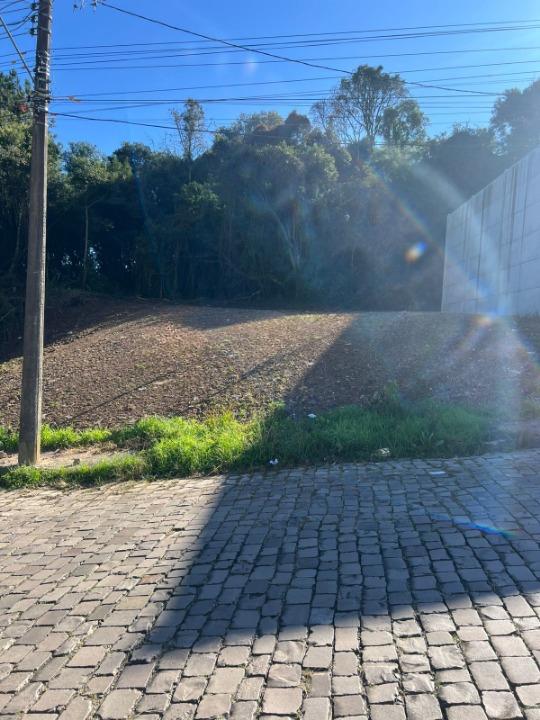 Terreno, à venda, 378 m², Cinqüentenário - Caxias do Sul — foto 3