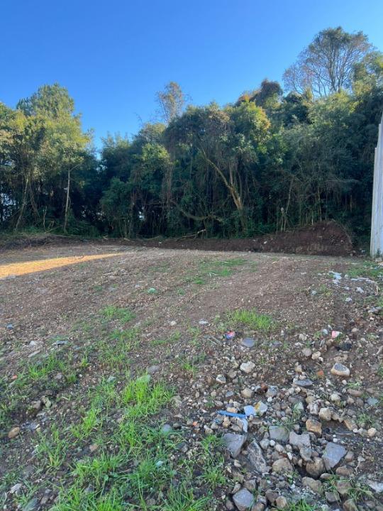 Terreno, à venda, 378 m², Cinqüentenário - Caxias do Sul — foto 4