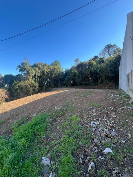 Terreno, à venda, 378 m², Cinqüentenário - Caxias do Sul — foto 5