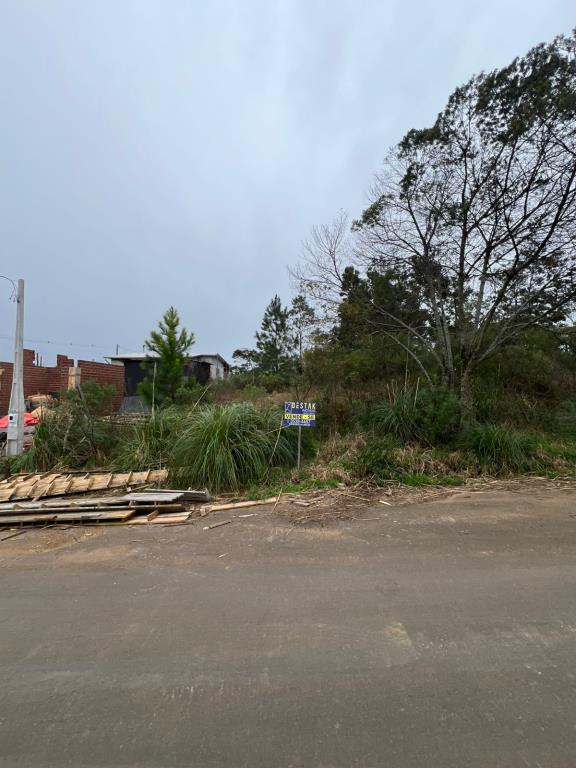 Terreno, à venda, 330 m², De Zorzi - Caxias do Sul — foto 2