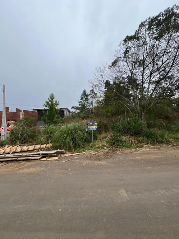 Terreno, à venda, 330 m², De Zorzi - Caxias do Sul — foto 3