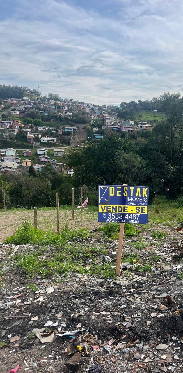 Terreno 5555
