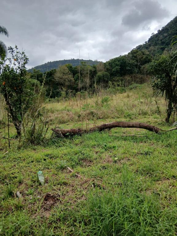 Chácara, à venda, 98.010 m², Santa Lúcia do Piaí - Caxias do Sul — foto 5