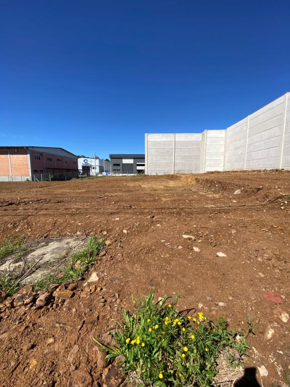 Terreno 5589