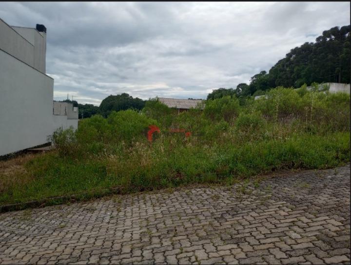 Terreno, à venda, 337 m², Monte Bérico - Caxias do Sul — foto 2