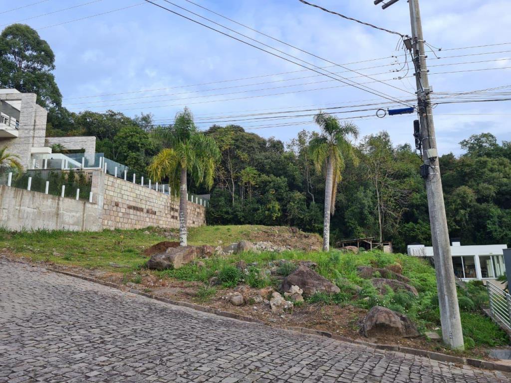 Terreno, à venda, 968 m², Linha 40 - Caxias do Sul — foto 2