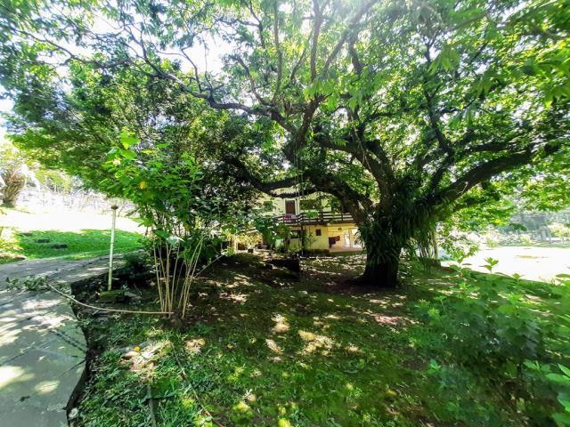 Chácara, à venda, 12.718 m², Santa Lúcia - Caxias do Sul — foto 4