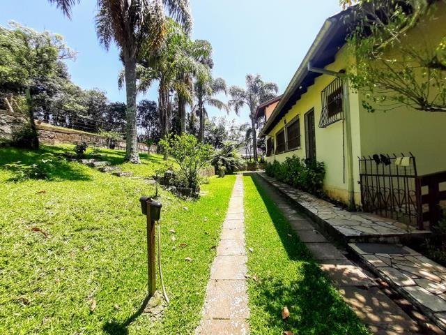 Chácara, à venda, 12.718 m², Santa Lúcia - Caxias do Sul — foto 5