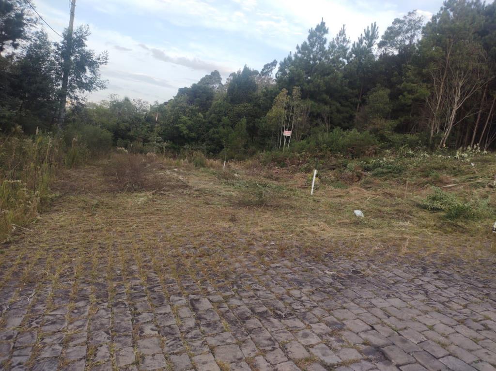 Terreno 6045